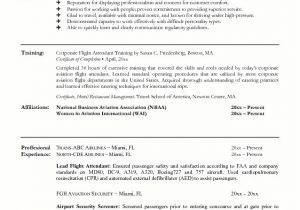 Stewardess Resume Sample Sample Resume for Flight attendant with No Experience