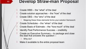 Straw Man Proposal Template Business Development for Small Government Contracting