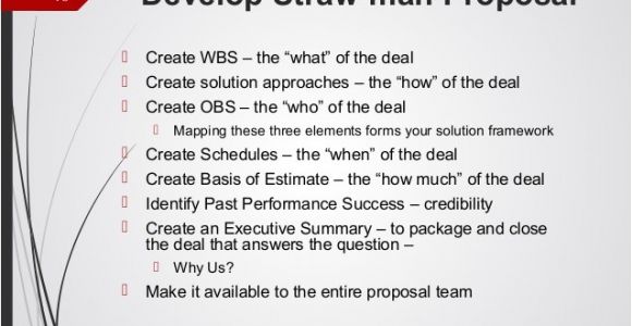 Straw Man Proposal Template Business Development for Small Government Contracting