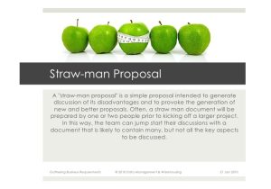 Strawman Proposal Template Gathering Business Requirements for Data Warehouses