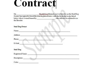 Stud Dog Contract Template Sample Dog Breeding Contract In Word to Download Sample