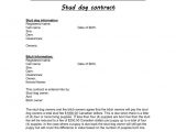 Stud Dog Contract Template Stud Dog Contract