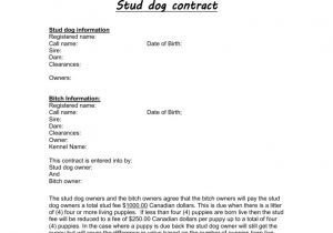 Stud Dog Contract Template Stud Dog Contract