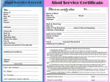 Stud Service Contract Template Contracts