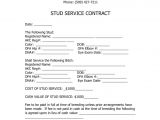 Stud Service Contract Template Stud Dog Contract Blank