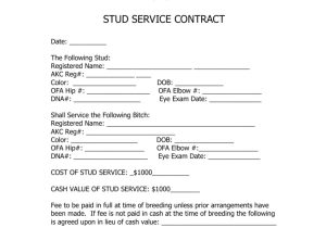 Stud Service Contract Template Stud Dog Contract Blank