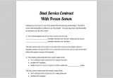 Stud Service Contract Template Stud Service Dog Breeding Puppy Sale Contract Library