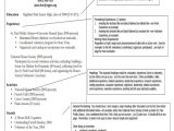 Student Basic Resume 19 Basic Resume format Templates Pdf Doc Free