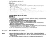 Student Body Resume Collision Repair Technician Resume Samples Velvet Jobs