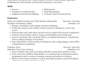 Student Hub Resume High School Involvement Student Involvement Resume Sample