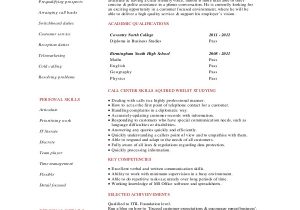 Student Hub Resume Sample Call Center Resume 8 Examples In Word Pdf
