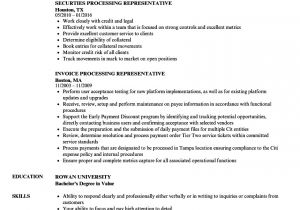 Student Representative Resume Processing Representative Resume Samples Velvet Jobs