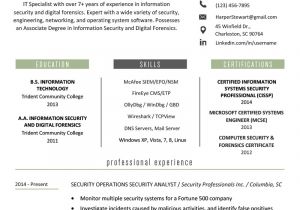 Student Resume About Me Information Technology It Resume Sample Resume Genius