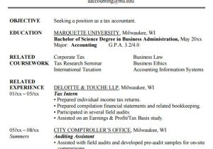 Student Resume Accounting Free 14 Accounting Resume Templates In Free Samples