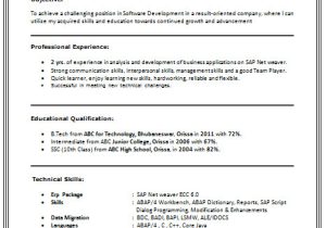 Student Resume Btech Over 10000 Cv and Resume Samples with Free Download B