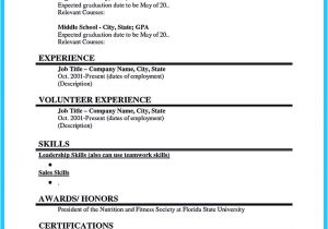 Student Resume for Job Application Best Current College Student Resume with No Experience