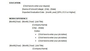 Student Resume format Word File 34 Microsoft Resume Templates Doc Pdf Free Premium