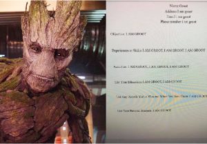 Student Resume Groot 39 I Am Groot 39 Resume Goes Viral after Texas Teacher Gave