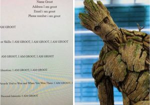 Student Resume Groot This Student Made A Resume for Groot and It S Honestly