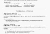 Student Resume Headline Resume with A Headline Example and Writing Tips