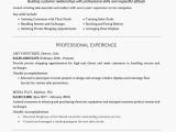 Student Resume Headline Resume with A Headline Example and Writing Tips