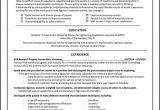 Student Resume Help 70 Best Images About Resume Examples On Pinterest Resume