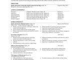 Student Resume In HTML Code Sample College Student Resume 8 Examples In Pdf Word