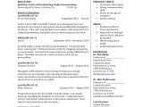 Student Resume In Pdf Sample College Student Resume 8 Examples In Pdf Word