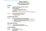 Student Resume Information Technology 10 Information Technology Resume Templates Pdf Doc