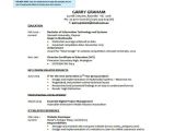 Student Resume Information Technology 10 Information Technology Resume Templates Pdf Doc