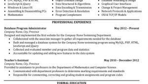 Student Resume Information Technology top Information Technology Resume Templates Samples