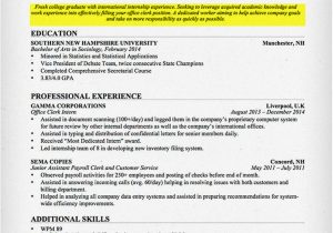 Student Resume Job Objective Profile for College Student Resume