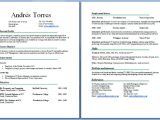 Student Resume Length Cv Two Pages Example