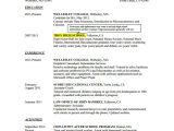 Student Resume Microsoft Word College Student Resume Templates Microsoft Word Clever Hippo