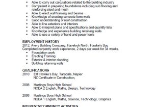 Student Resume Nz Cv formats and Examples