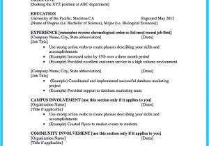 Student Resume Qualifications Best Current College Student Resume with No Experience