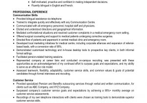 Student Resume Qualifications Best Summary Of Qualifications Resume for 2016