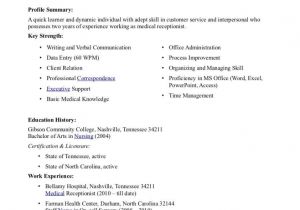 Student Resume References Free Resume Templates College Student Sample Reference