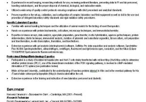 Student Resume References Good Resume Examples for College Students Sample Resumes