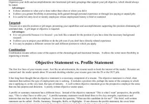 Student Resume Summary Statement Cv Objective Statement Example Resumecvexample Com
