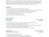 Student Resume Summary Statement High School Student Resume Template for Microsoft Word