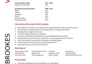 Student Resume Volunteer Experience Volunteer Cover Letter No Experience Planner Template Free