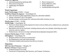 Student Resume Website Best It Web Developer Resume Example Livecareer