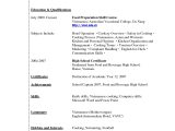 Student Resume with Work Experience 15 Resume for Non Work Experience Robbiesavage8 Com
