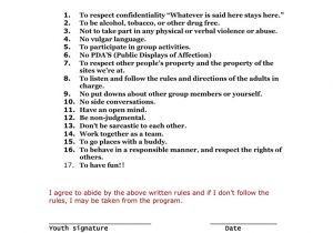 Substance Abuse Behavior Contract Template Behavior Contract In Word and Pdf formats