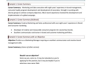 Summary for Basic Resume 9 Career Summary Examples Pdf Examples
