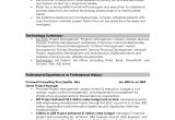 Summary for Basic Resume Professional Summary Resume Examples Professional Resume