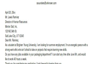 Summer Job Application Resume 12 Summer Job Cover Letter Templates Sample Example