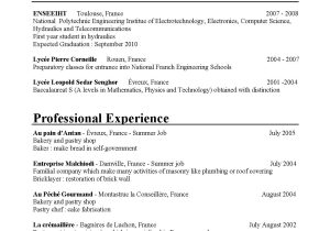 Summer Job Application Resume Welcome On My E Portfolio