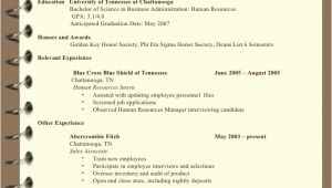 Suzy Q Student Resume Resume Writing Sb for Students